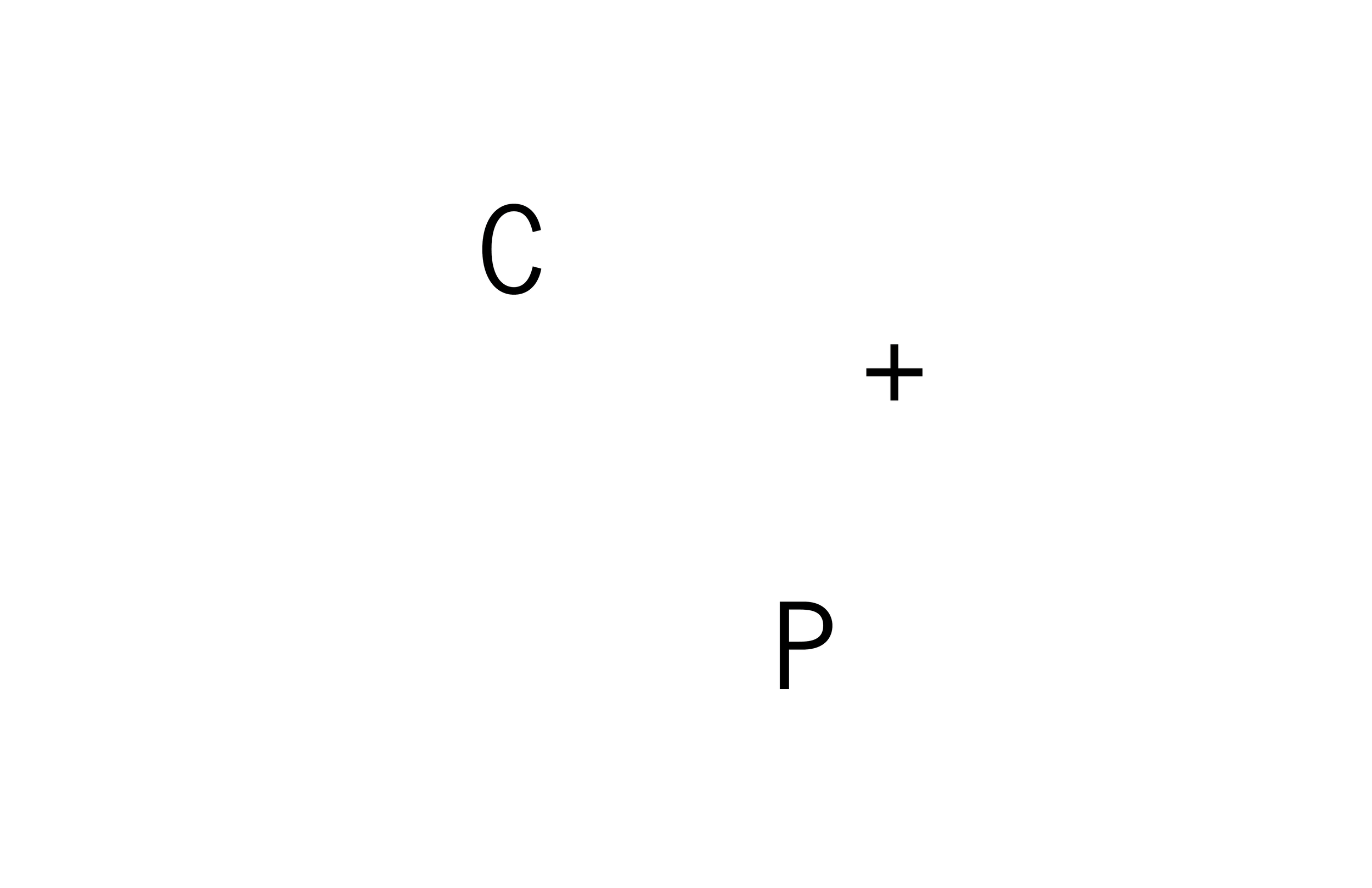 C+P Website Page.png