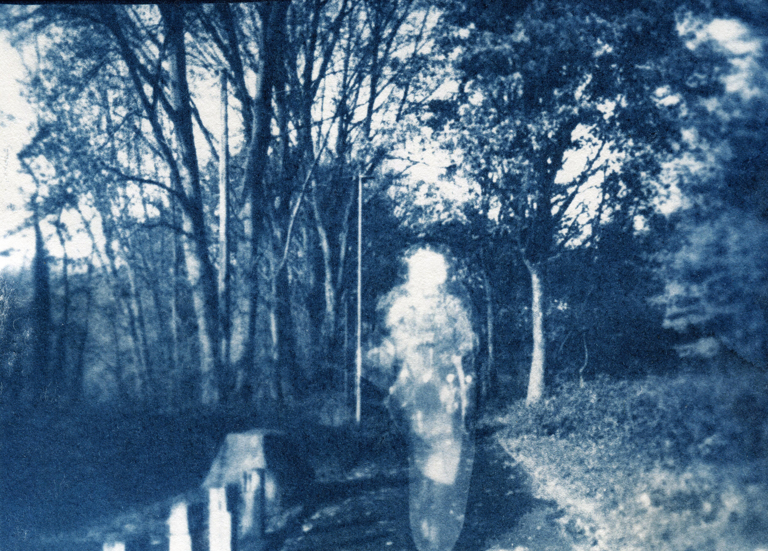 The peoples river project_participant Louie's cyanotype 2020.jpg