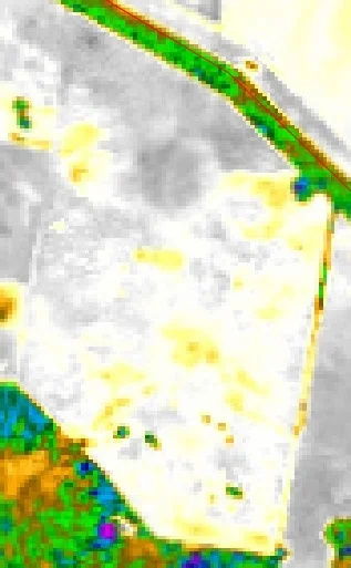 Satamap image of fallow captured in 2013 SW of Moree. Yellow/green areas are higher biomass
