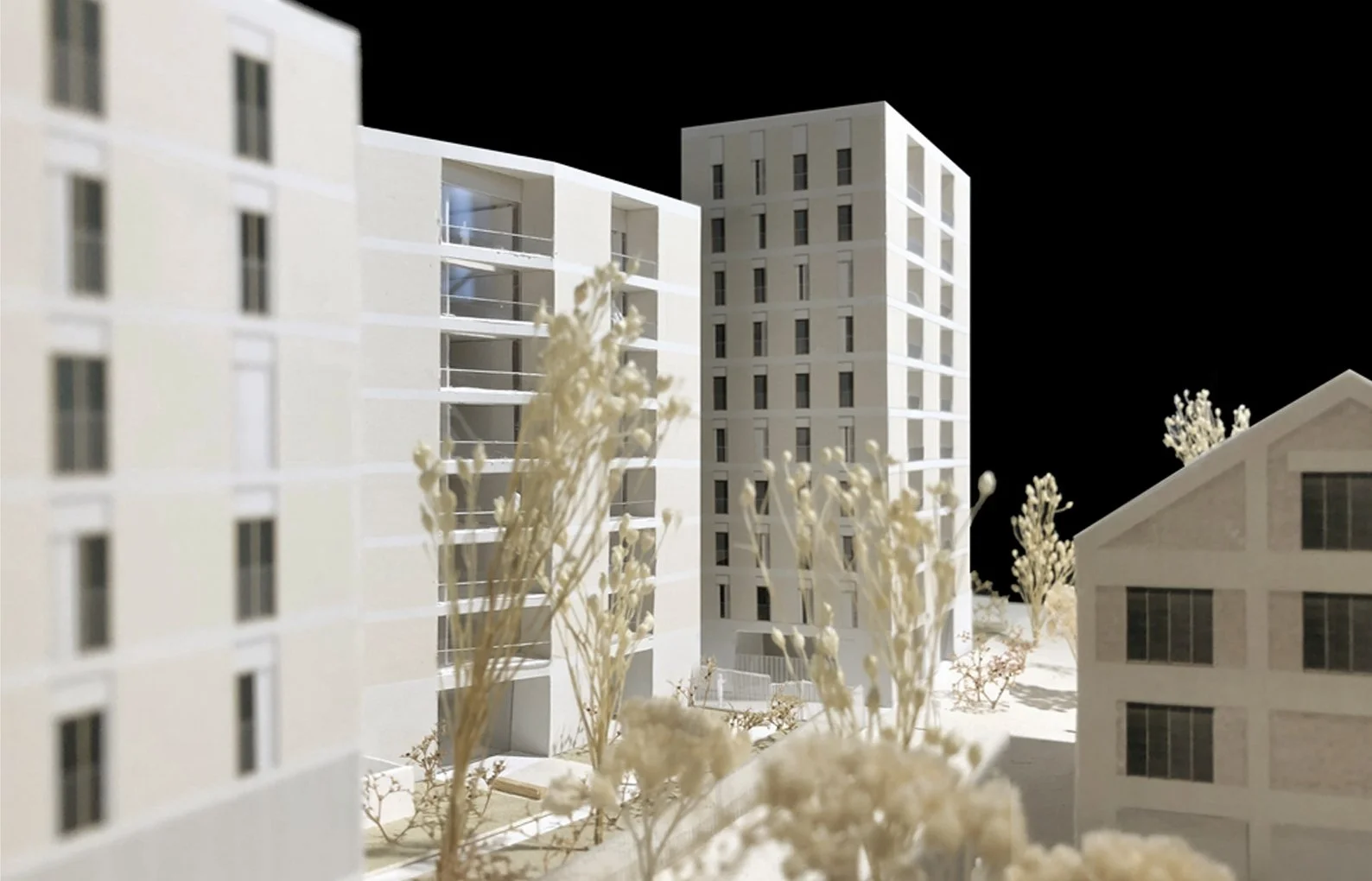 IVRY_08.jpg