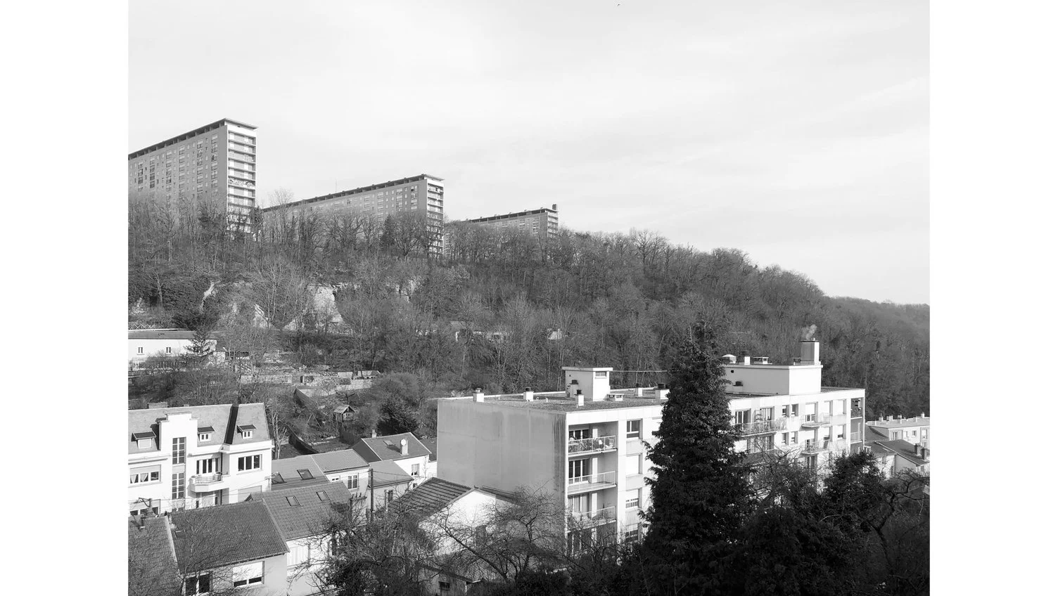 000_NANCY 11.jpg