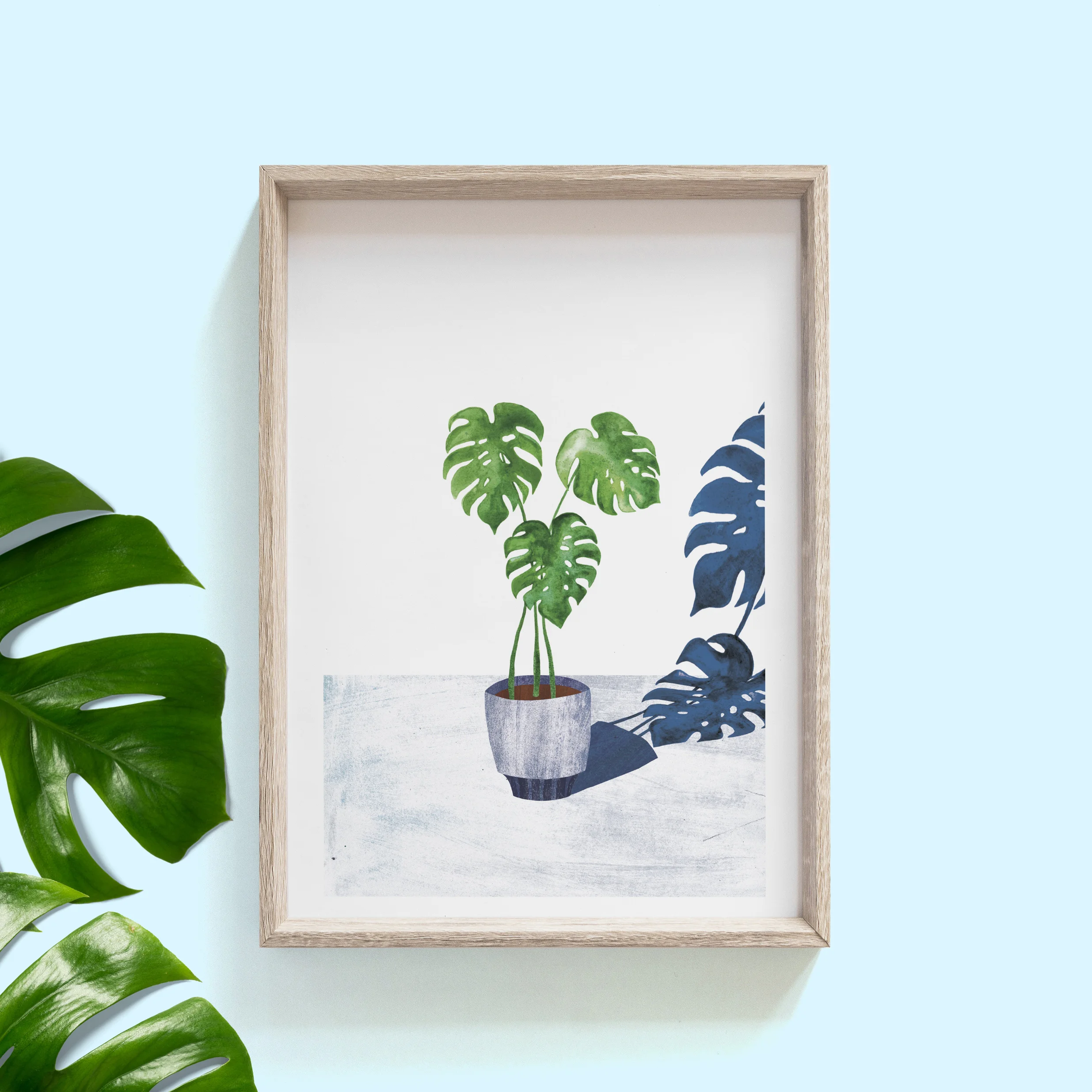 Monstera_Portrait_Plants.jpg