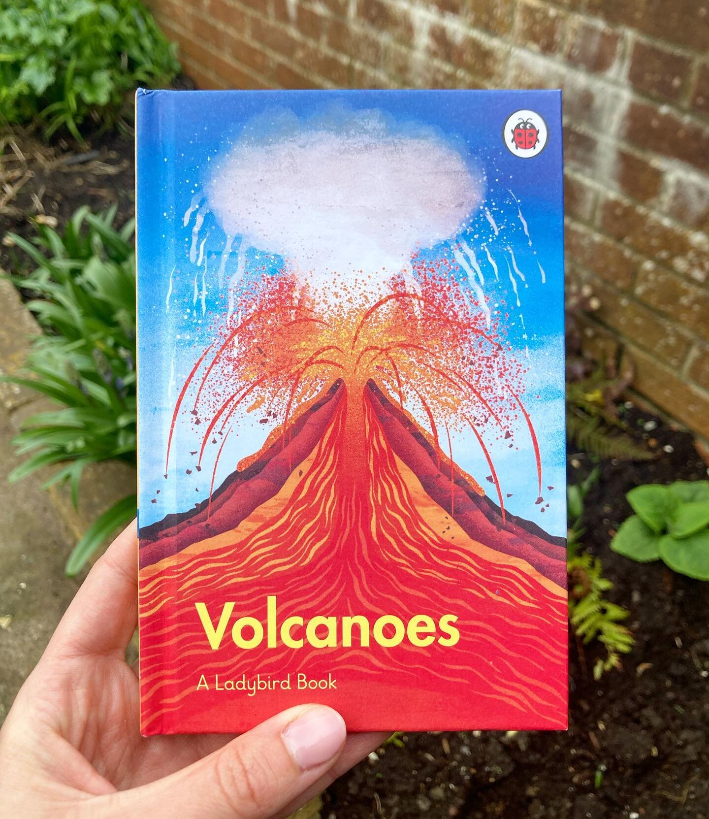 VERY excited to share that I was lucky enough to work on this cute little book! Out now in the world, A Ladybird Book of Volcanoes was such a lovely project to work on, with some really fun illustrations I&rsquo;ll share very soon 🌋

A big thankyou 