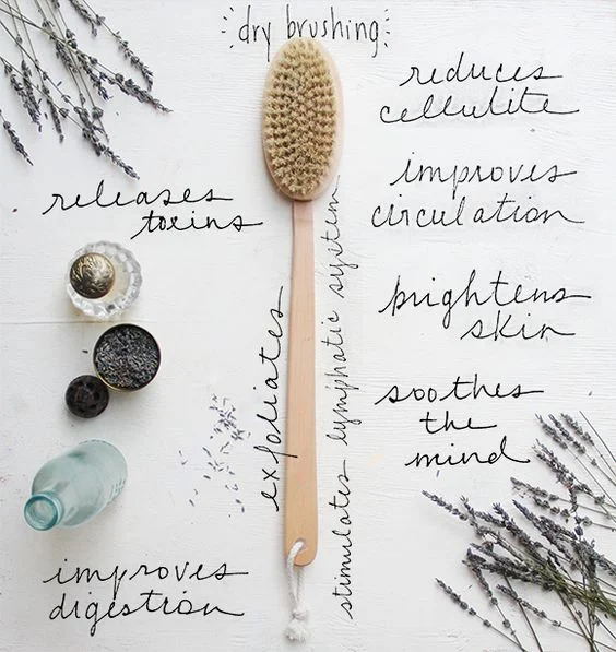 This graphic was sourced from a Free People blog post about the benefits of dry brushing. 