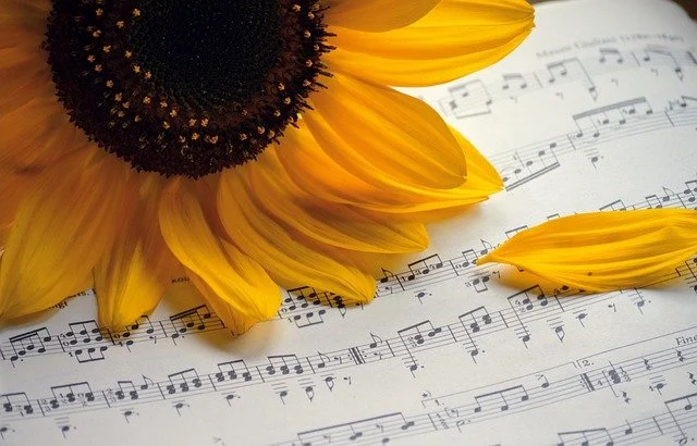 Summer Concert