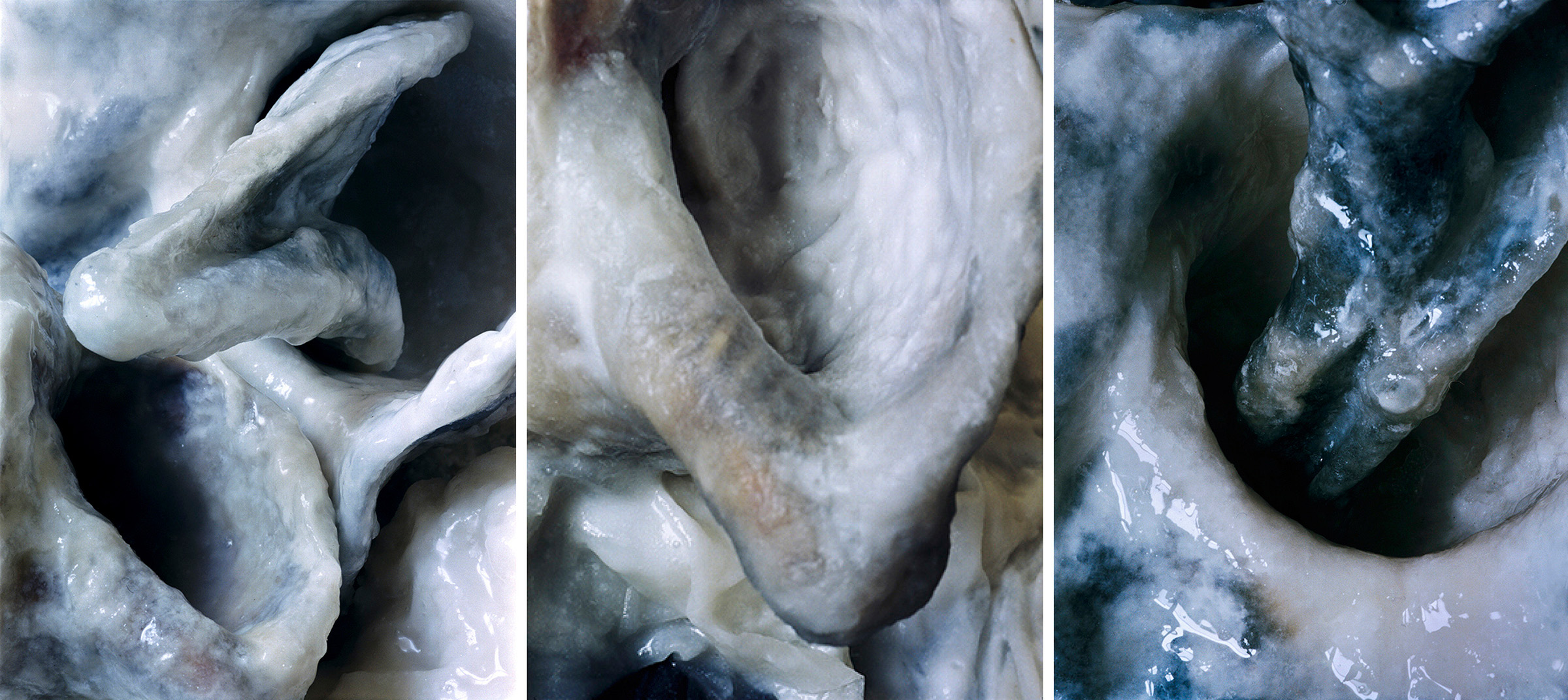   White Fluids  Triptich N°2, 2006/2015  T irages gélatino argentiques, 3 panneaux 144 x 104 cm chacun | Gelatin silver prints, 3 panels 56,69 x 40,94 inches each  2/4 