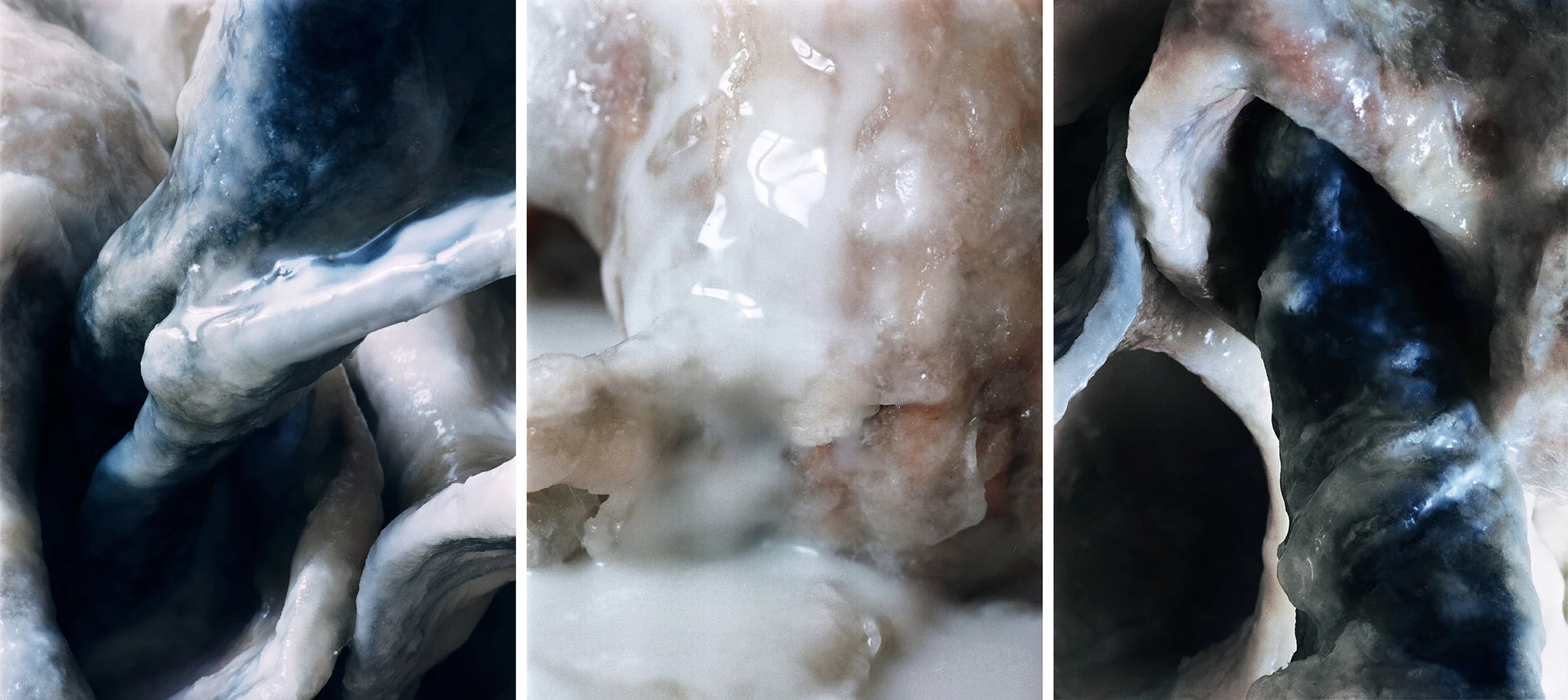 White Fluids Triptich N°8, 2006/2015 T irages gélatino argentiques, 3 panneaux 144 x 104 cm chacun | Gelatin silver prints, 3 panels 56,69 x 40,94 inches each 4/4