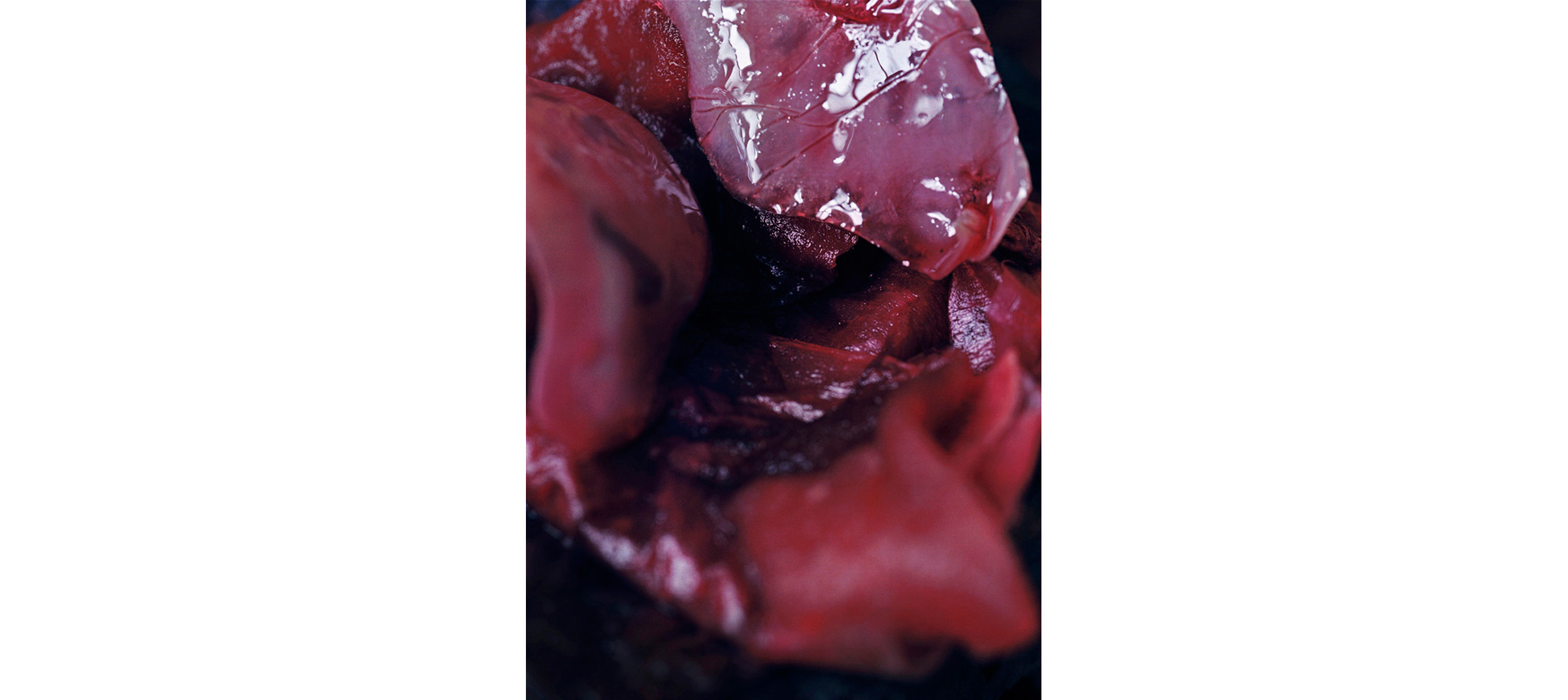   Red Fluids  Untitled N°2, 2005/2008 Tirage gélatino argentique 144 x 104 cm | Gelatin silver print 56,69 x 40,94 inches  3/5 
