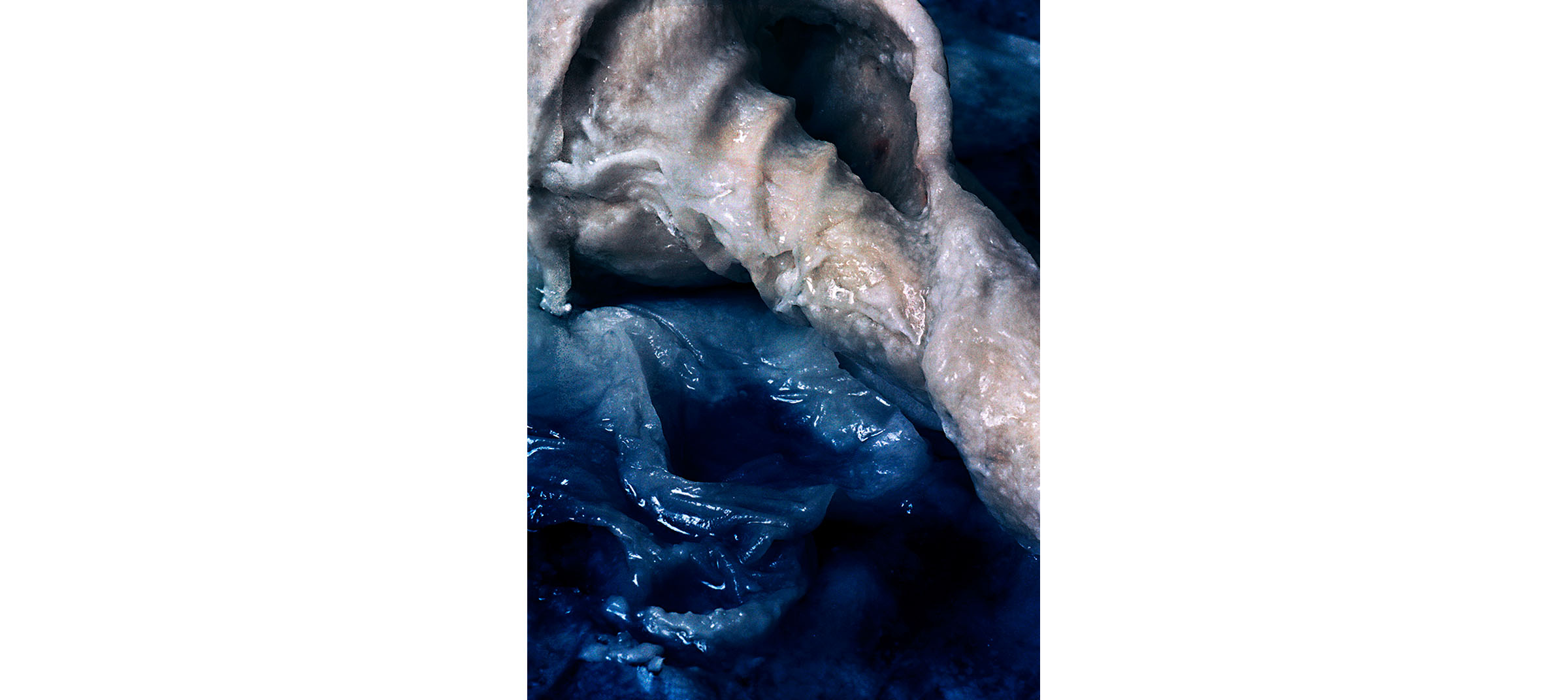  White Fluids  Untitled N°5, 2006/2015  T irage gélatino argentique, 144 x 104 cm chacun | Gelatin silver print, 56,69 x 40,94 inches each  3/4 
