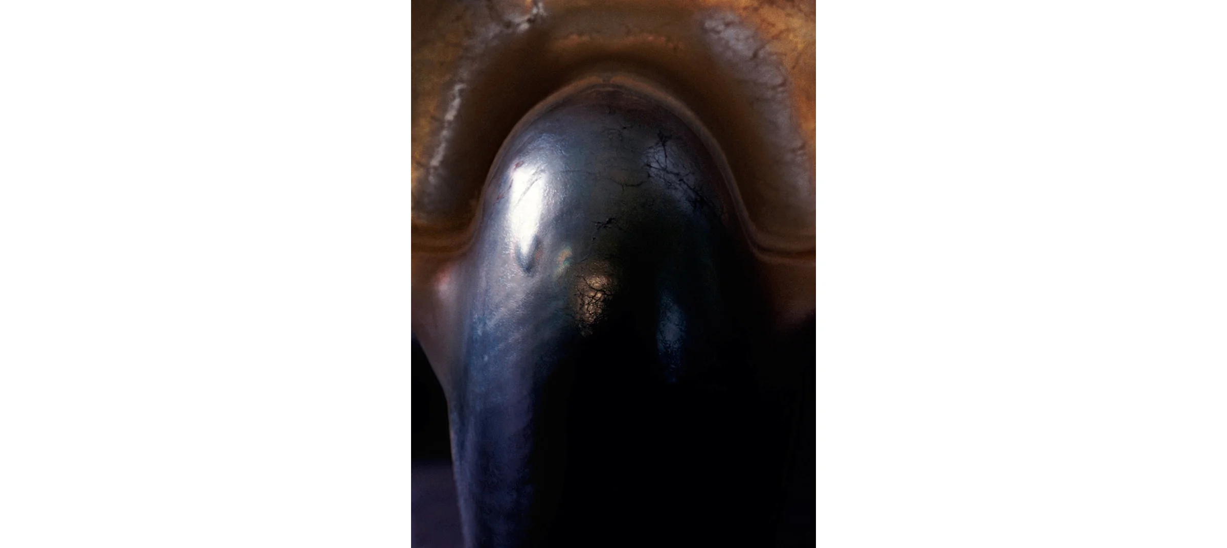 Flesh Untitled N°7, 2004/2015 Tirage argentique sur duratrans, caisson lumineux 144 x 104 cm | C-print on duratrans, light box, 56,69 x 40,94 inches 2/4