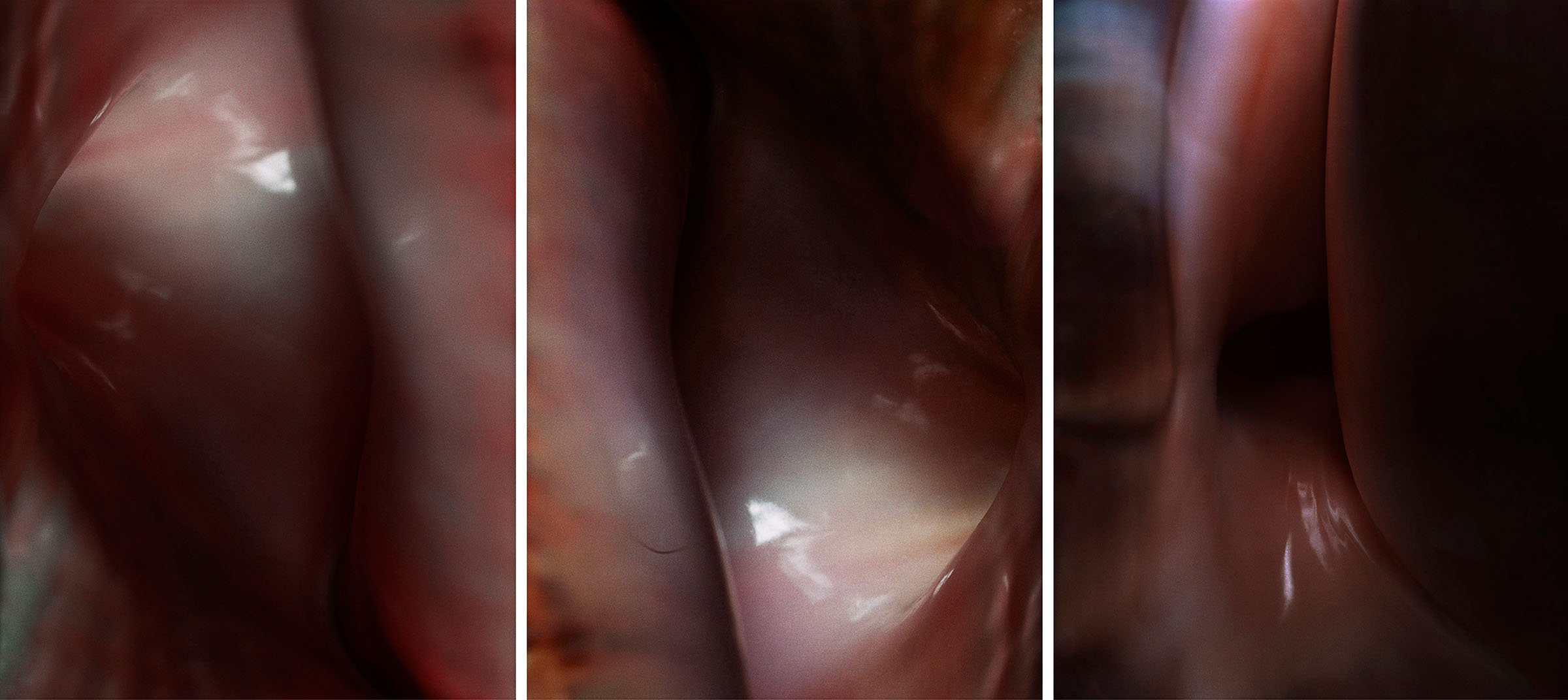 Flesh Triptych N°5, 2004/2015 Tirages argentiques sur film duratrans, 3 caissons lumineux 144 x 104 cm chacun | C-prints on duratrans, 3 light boxes, 56,69 x 40,94 inches each 4/4