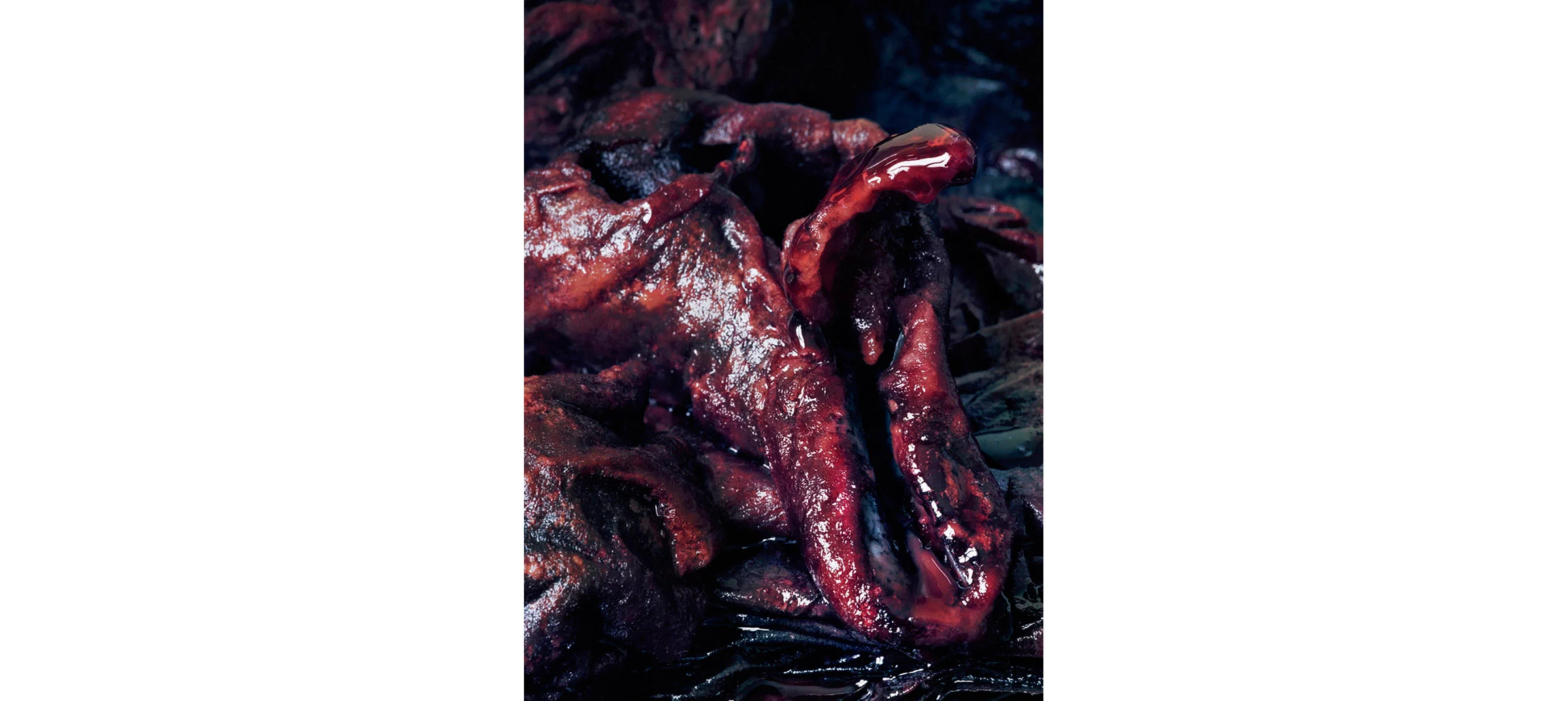 Red Fluids Untitled N°7, 2005/2008 Tirage gélatino argentique 144 x 104 cm | Gelatin silver print 56,69 x 40,94 inches 5/5