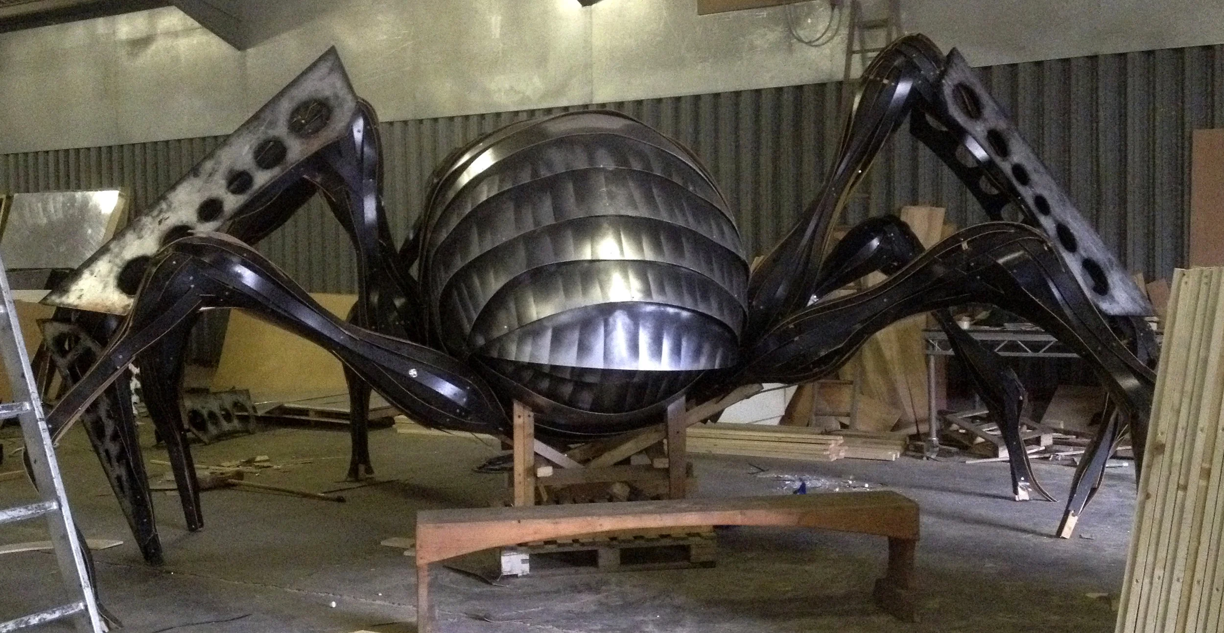 spider.jpg