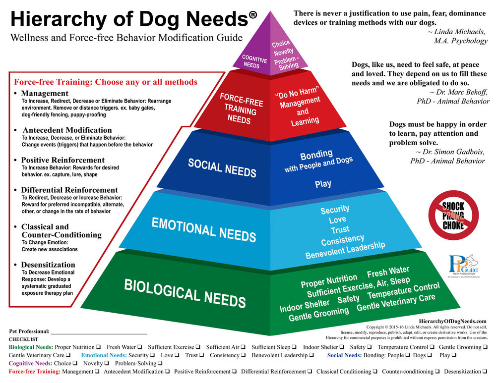 Hierarchy o fDog Needs
