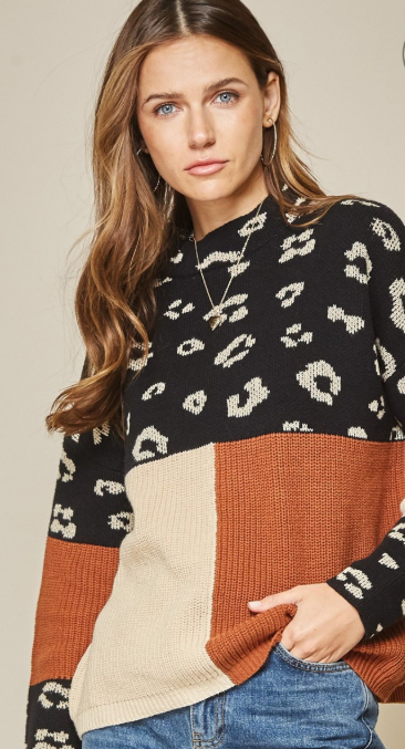 Color block leopard sweater.png