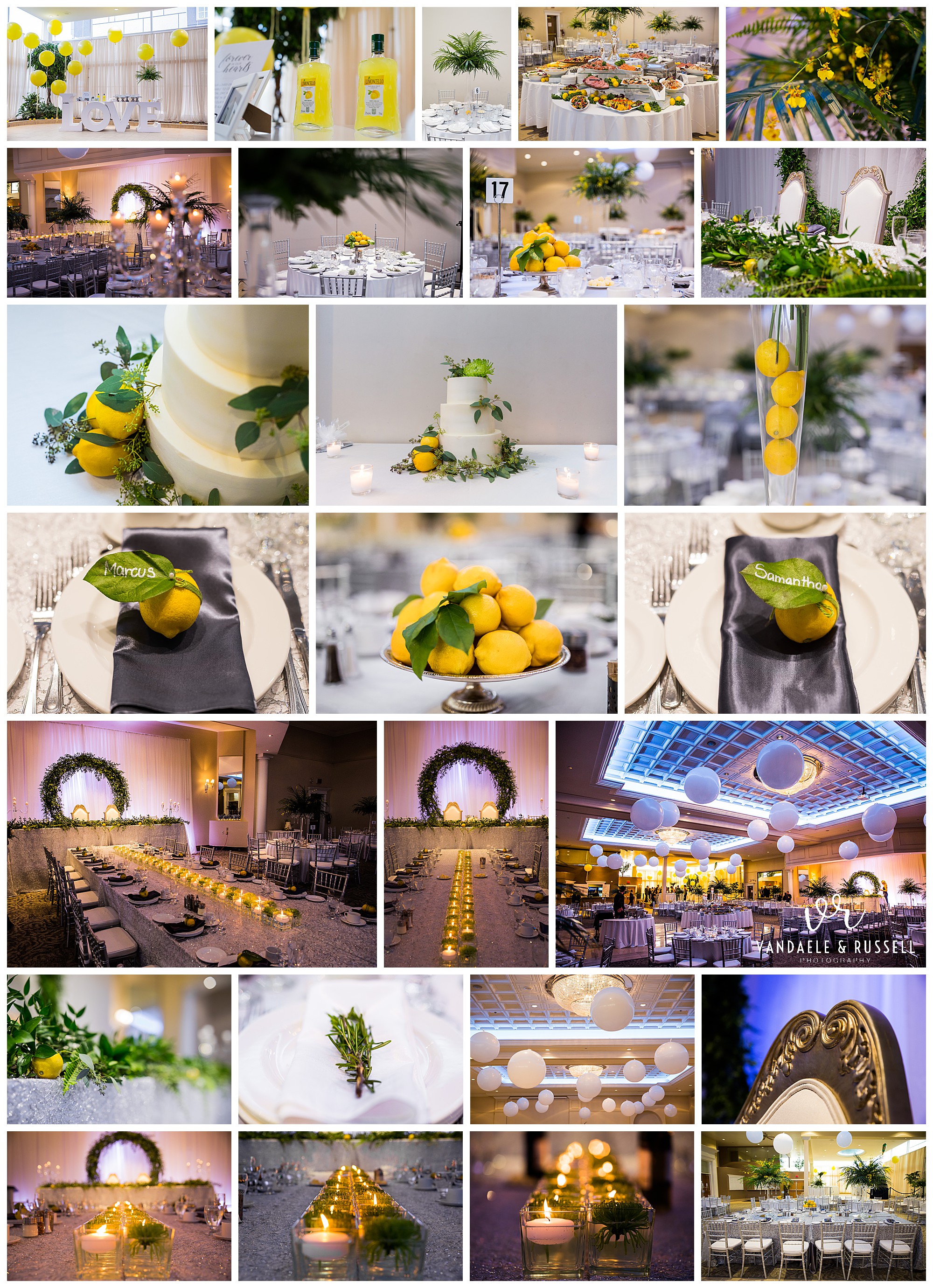 Burlington Convention Centre, Burlington, Ontario wedding photography by VanDaele & Russell