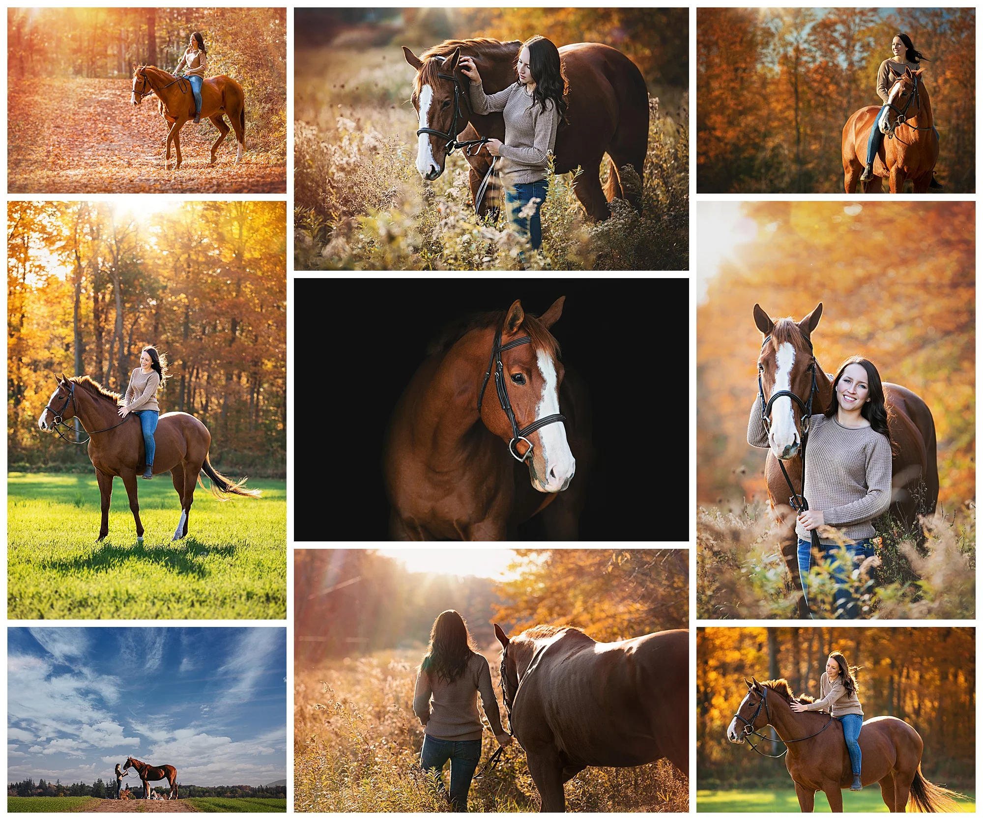 Baden, Ontario equestrian photography by VanDaele & Russell