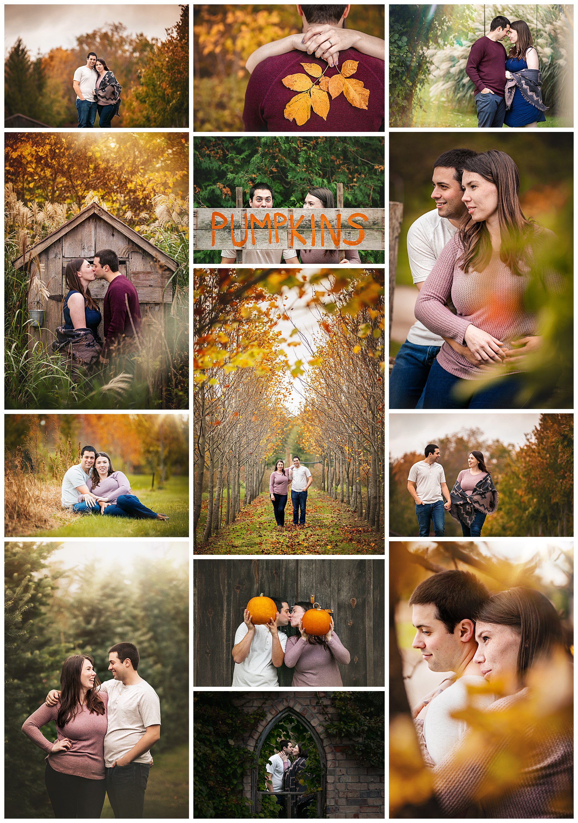 Arrowwood Farm, Melbourne, Ontario engagement photos by VanDaele & Russell
