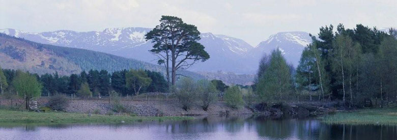 Boat Mountains.jpg