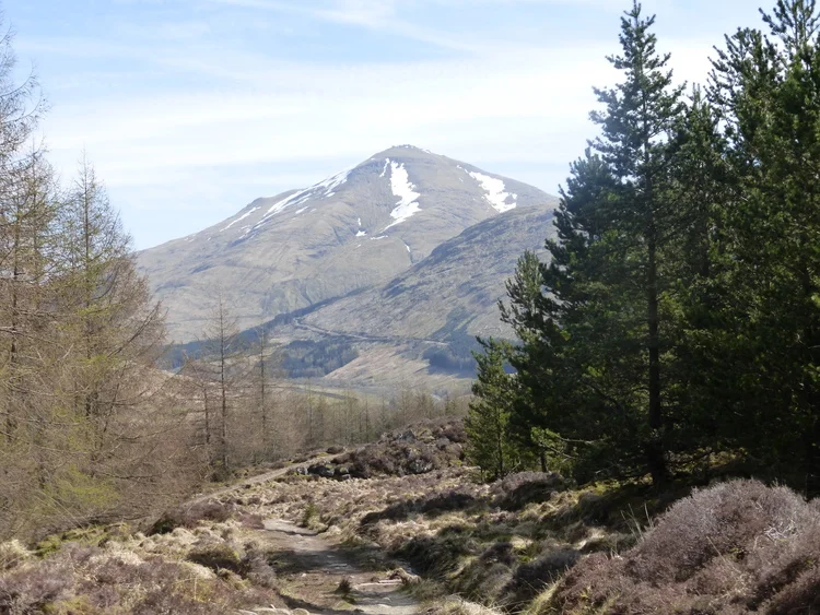 P1000265.jpg