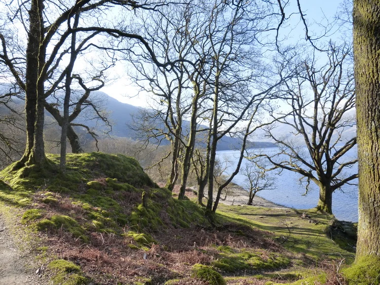 P1000355.jpg