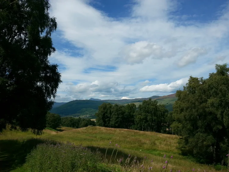 20130808_122515.jpg