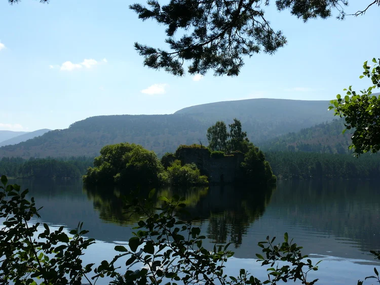 P1000446.jpg