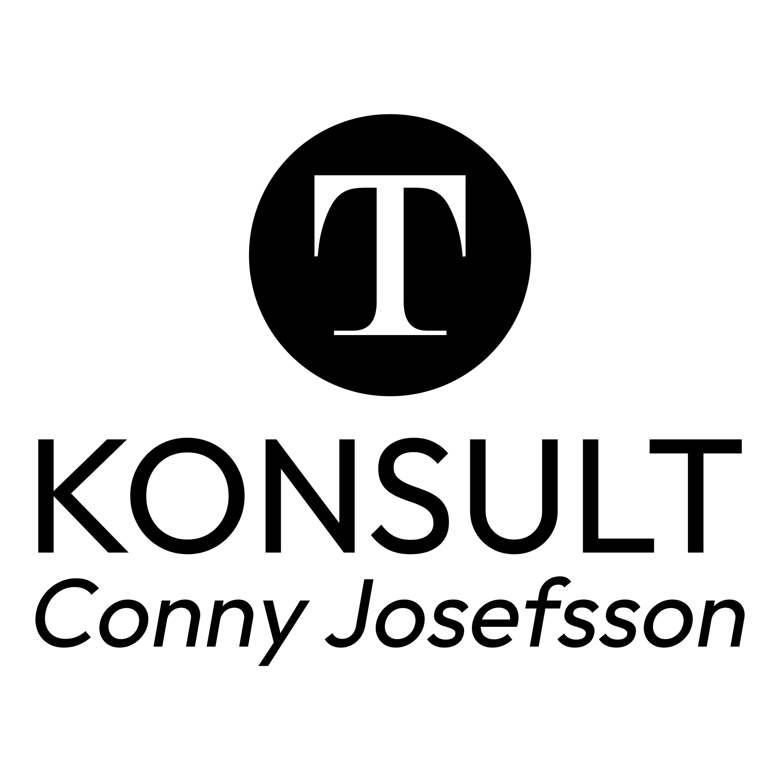 T-konsult_hemsida.png