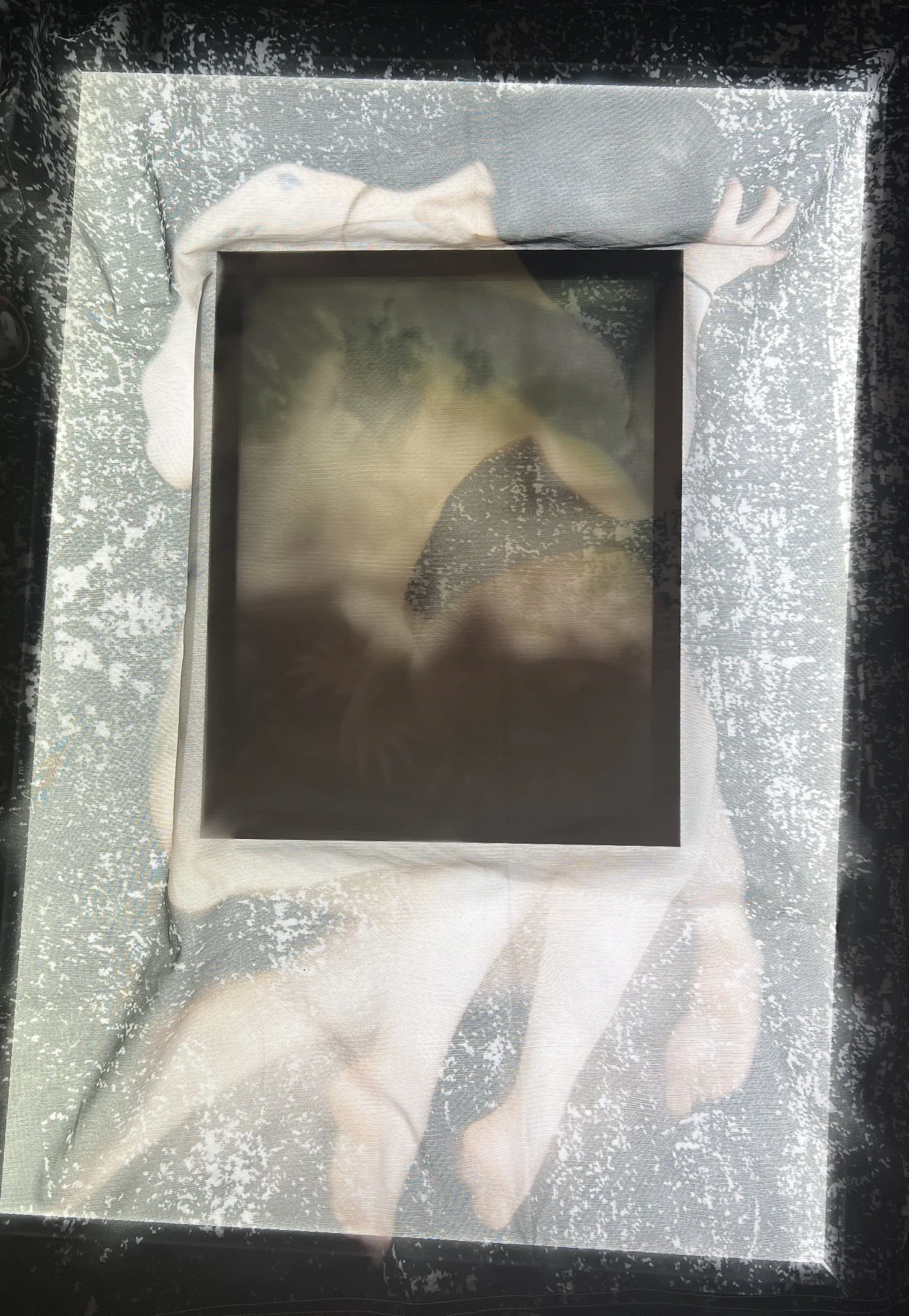 Detail of Kore's Box