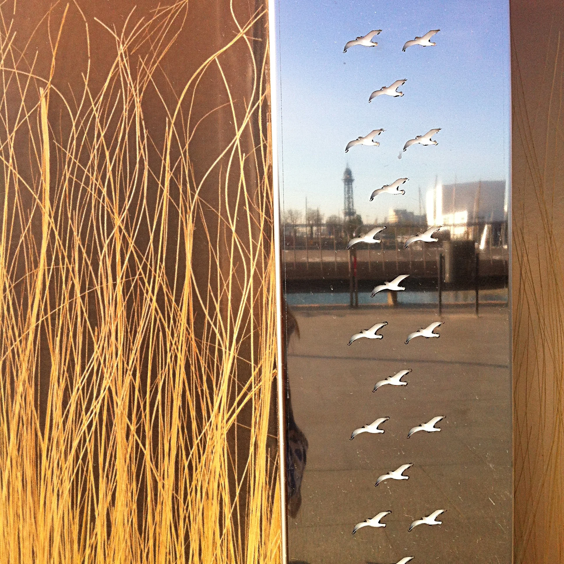 lisa i phone 230.JPG