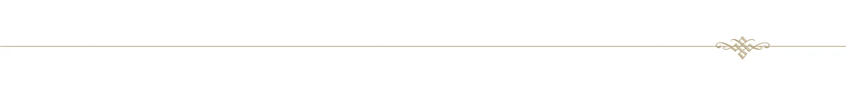 embellished-line.jpg