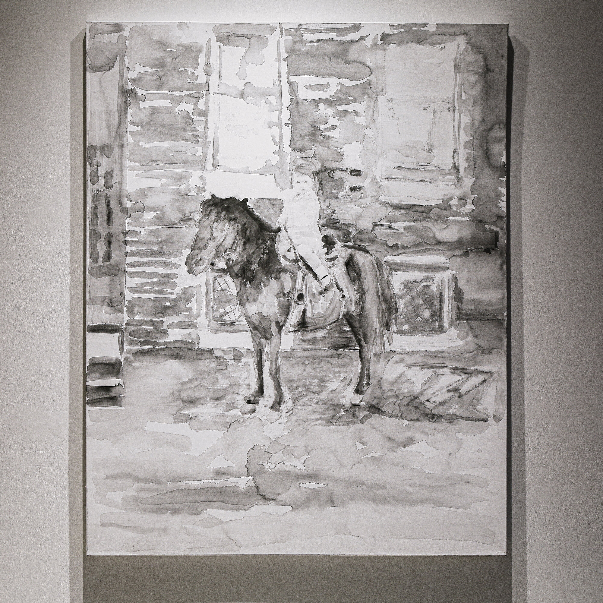 Photographer’s Pony