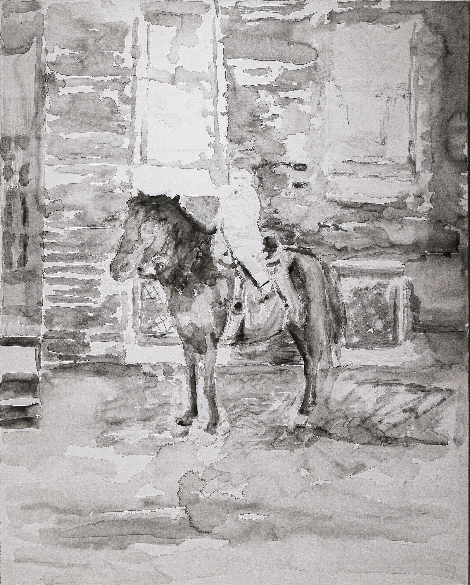 Photographer’s Pony