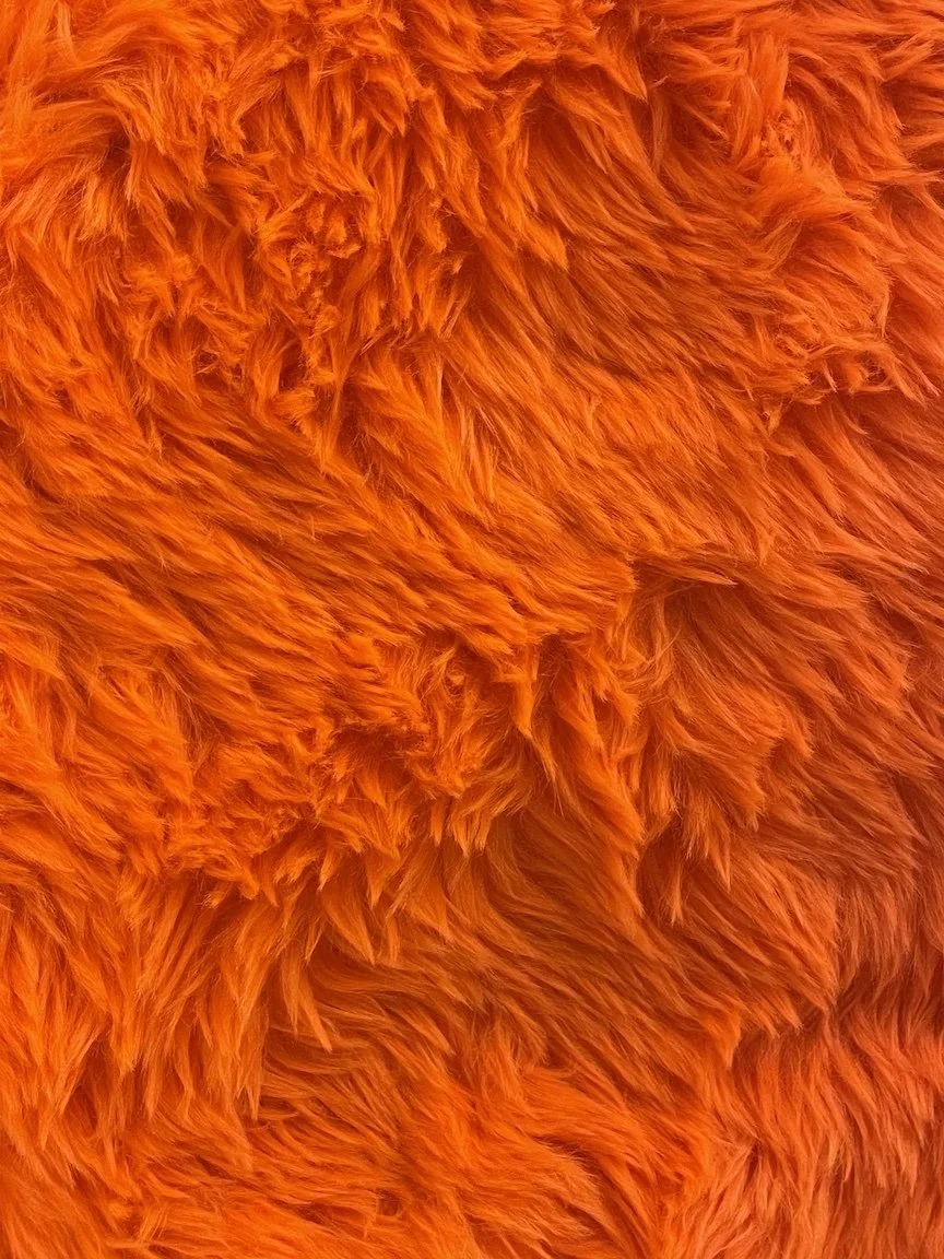 lloyd_1.jpg