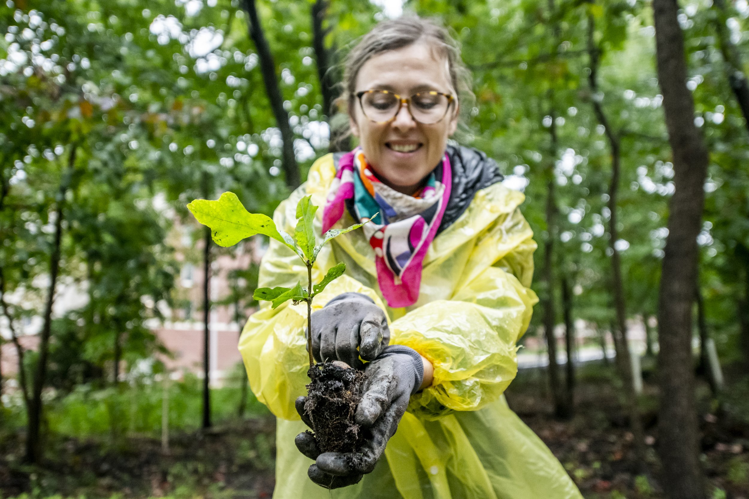  Artist Katie Kehoe and a group of volunteers planting 100 native trees on Fairfax campus. This project is a socially engaged performance action, accompanying several artworks by Kehoe in the public art exhibition, Approaching Event Horizons: Project