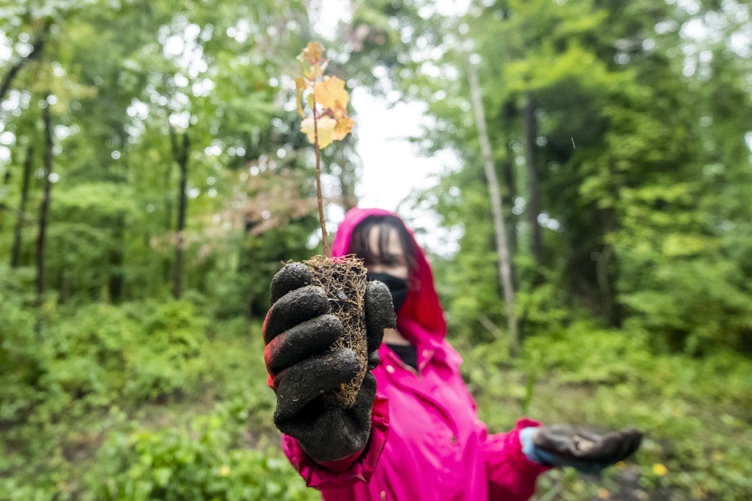  Artist Katie Kehoe and a group of volunteers planting 100 native trees on Fairfax campus. This project is a socially engaged performance action, accompanying several artworks by Kehoe in the public art exhibition, Approaching Event Horizons: Project