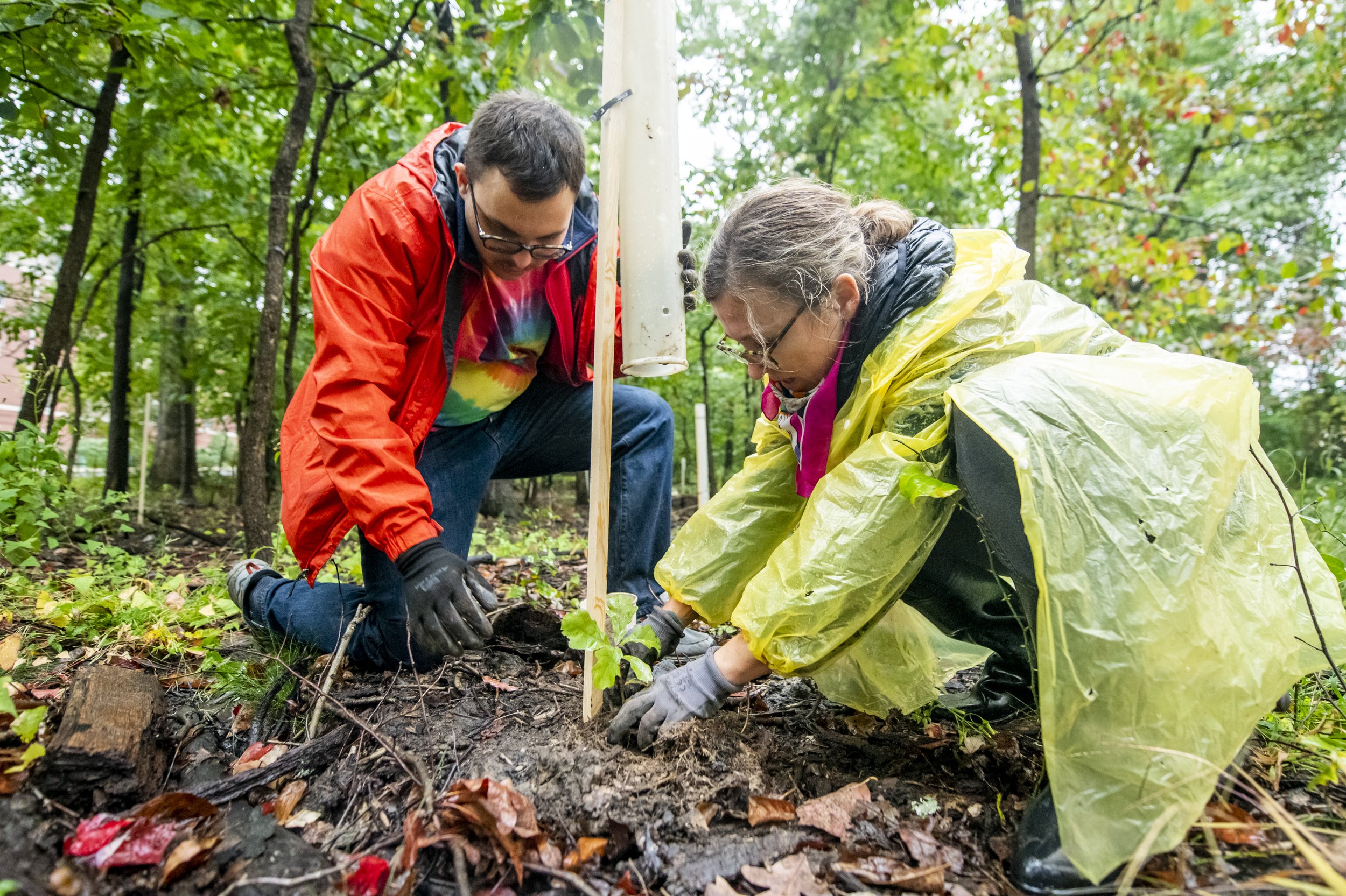  Artist Katie Kehoe and a group of volunteers planting 100 native trees on Fairfax campus. This project is a socially engaged performance action, accompanying several artworks by Kehoe in the public art exhibition, Approaching Event Horizons: Project