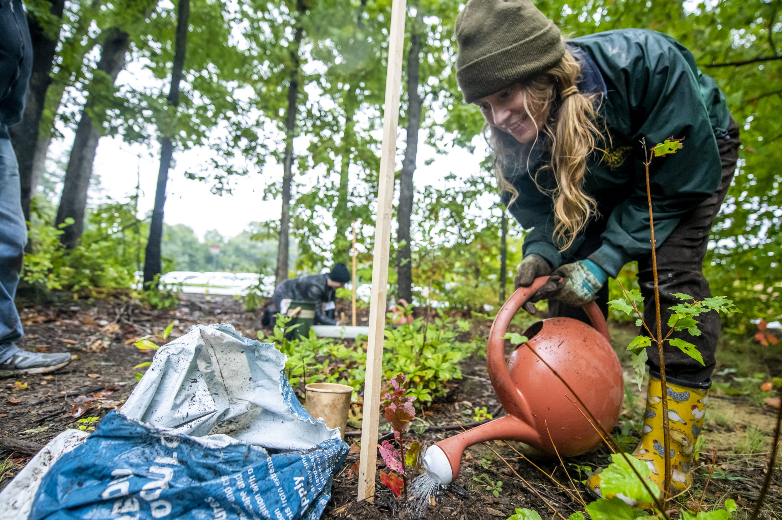  Artist Katie Kehoe and a group of volunteers planting 100 native trees on Fairfax campus. This project is a socially engaged performance action, accompanying several artworks by Kehoe in the public art exhibition, Approaching Event Horizons: Project