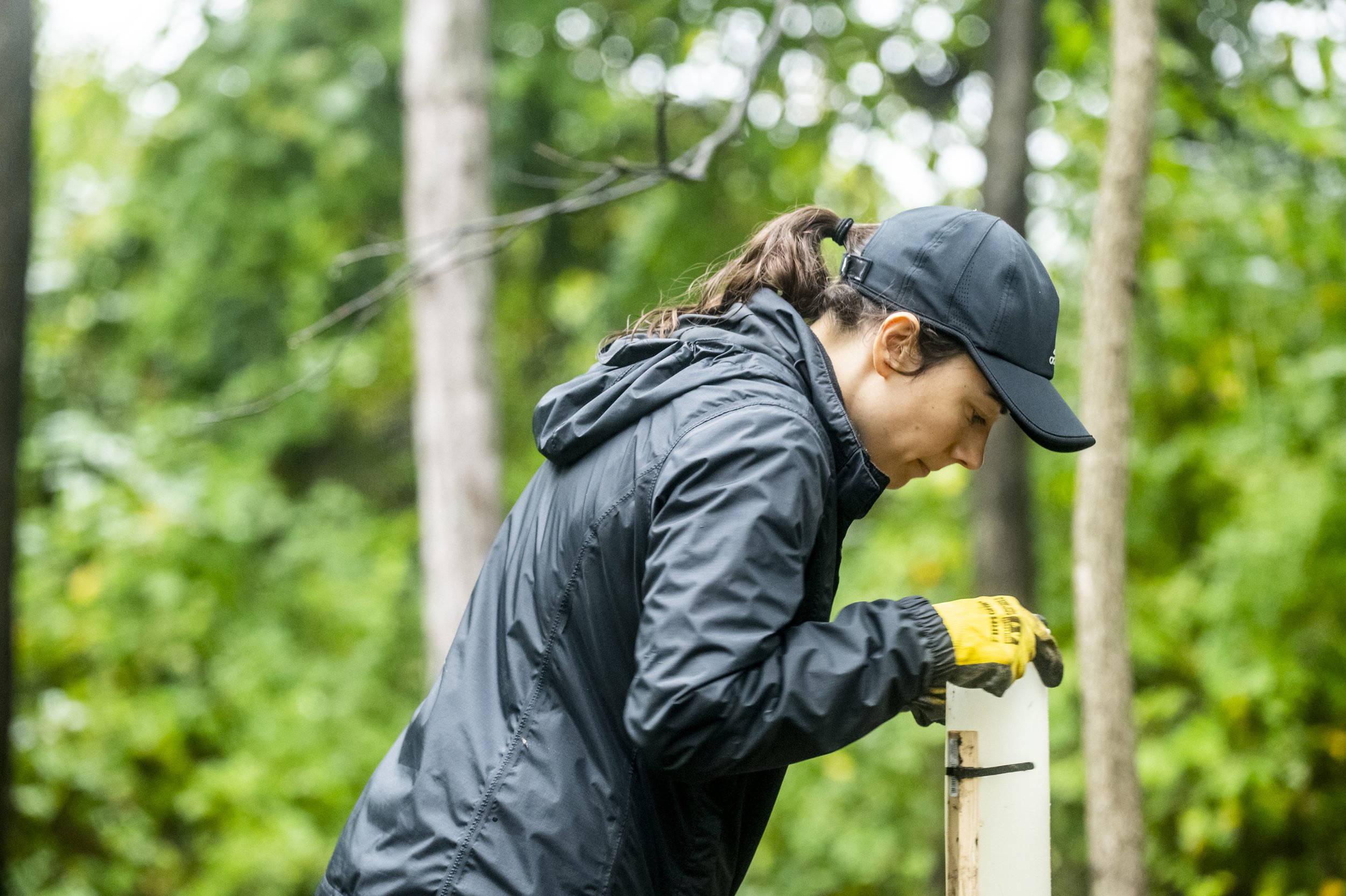  Artist Katie Kehoe and a group of volunteers planting 100 native trees on Fairfax campus. This project is a socially engaged performance action, accompanying several artworks by Kehoe in the public art exhibition, Approaching Event Horizons: Project