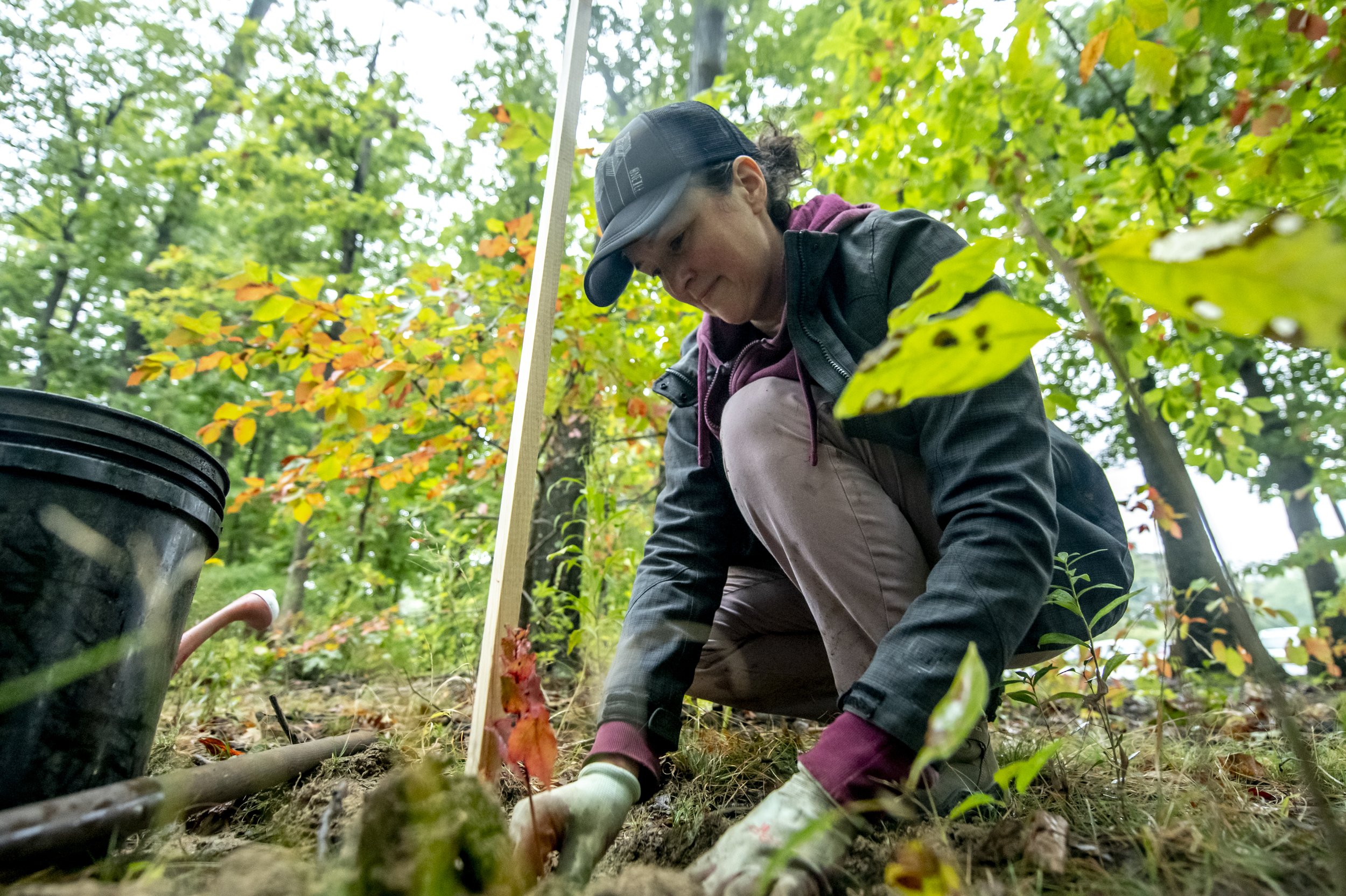  Artist Katie Kehoe and a group of volunteers planting 100 native trees on Fairfax campus. This project is a socially engaged performance action, accompanying several artworks by Kehoe in the public art exhibition, Approaching Event Horizons: Project