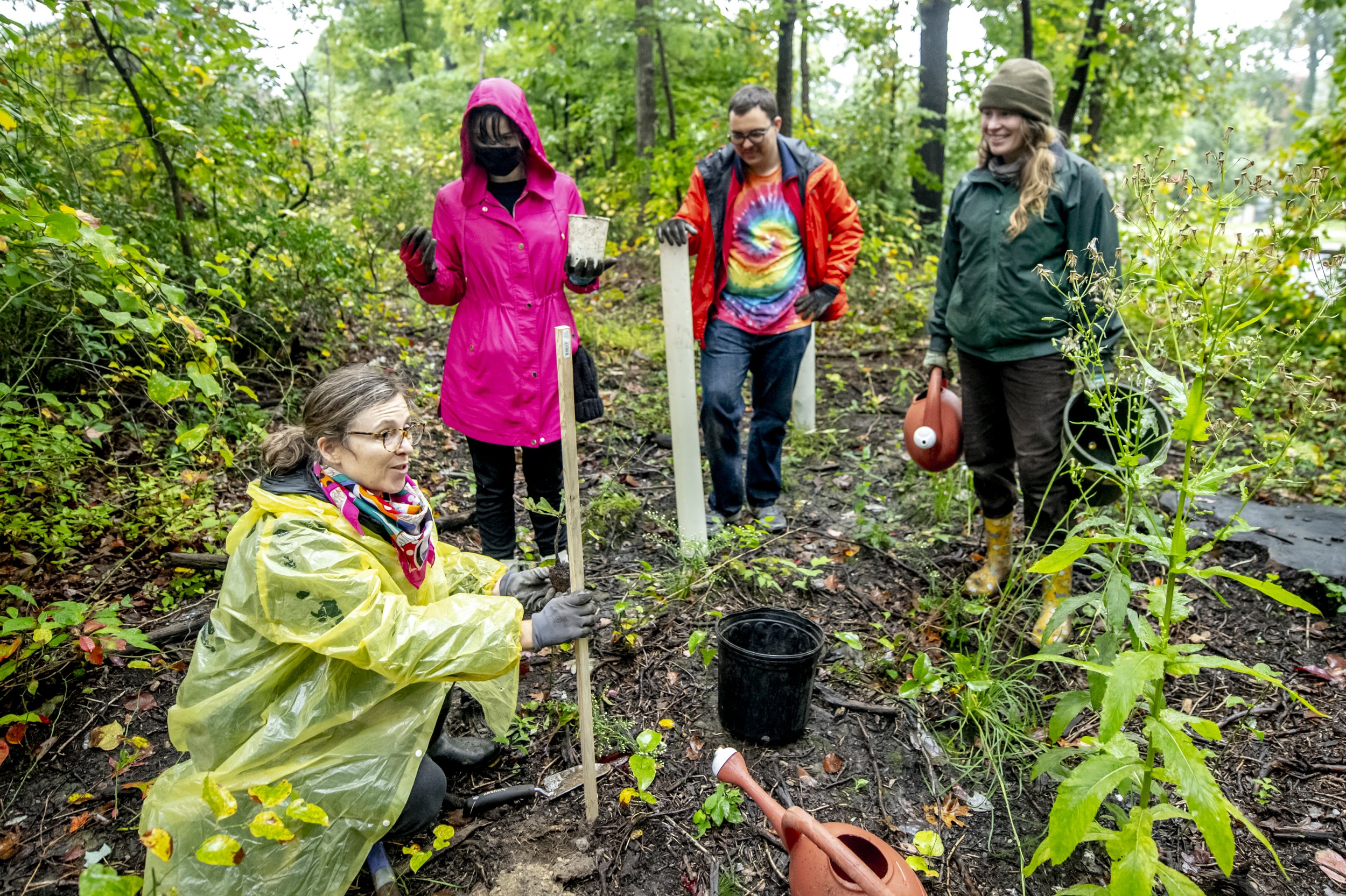  Artist Katie Kehoe and a group of volunteers planting 100 native trees on Fairfax campus. This project is a socially engaged performance action, accompanying several artworks by Kehoe in the public art exhibition, Approaching Event Horizons: Project