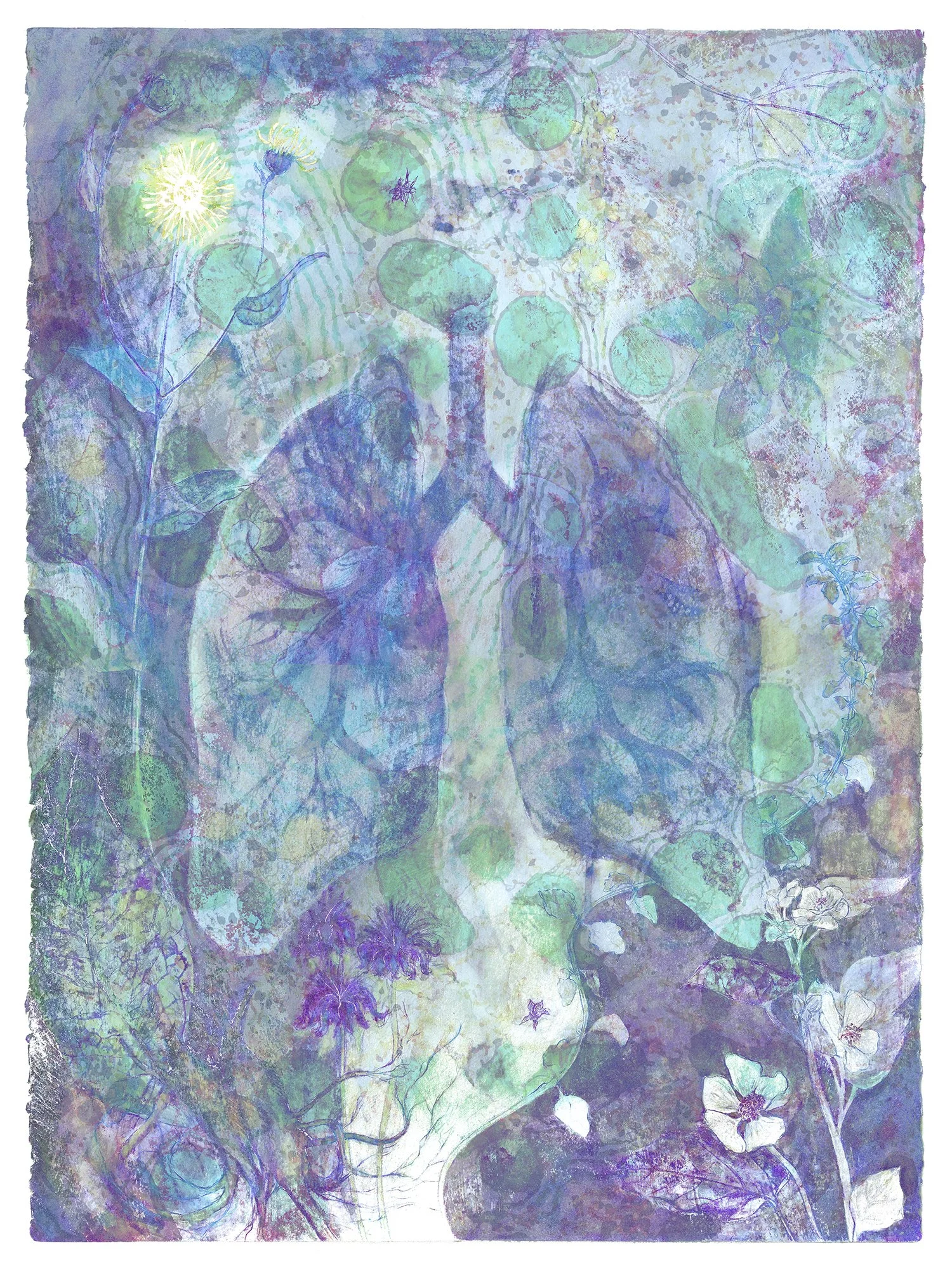 Elizabeth Hall   Viriditas:     Respiratory System   (2022) limited edition Giclee, 30” x 24”  Respiratory System corresponding herbs: Bee Balm, Comfrey, Garlic, Horehound, Elderflower, Elecampane, Marshmallow, Milkweed, Mullen, Peppermint, Slippery