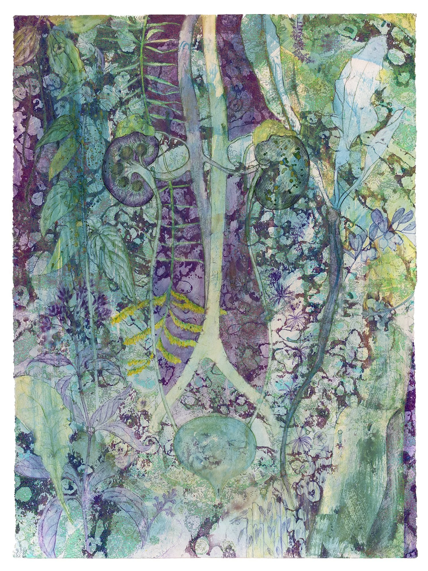 Elizabeth Hall   Viriditas: Renal System   (2022) limited edition Giclee, 30” x 24”   Renal System corresponding herbs: Agrimony, Cleavers, Corn Silk, Goldenrod, Gravel Root, Marshmallow, Milky Oats, Self-heal, Slippery Elm, Parsley, Plantain,