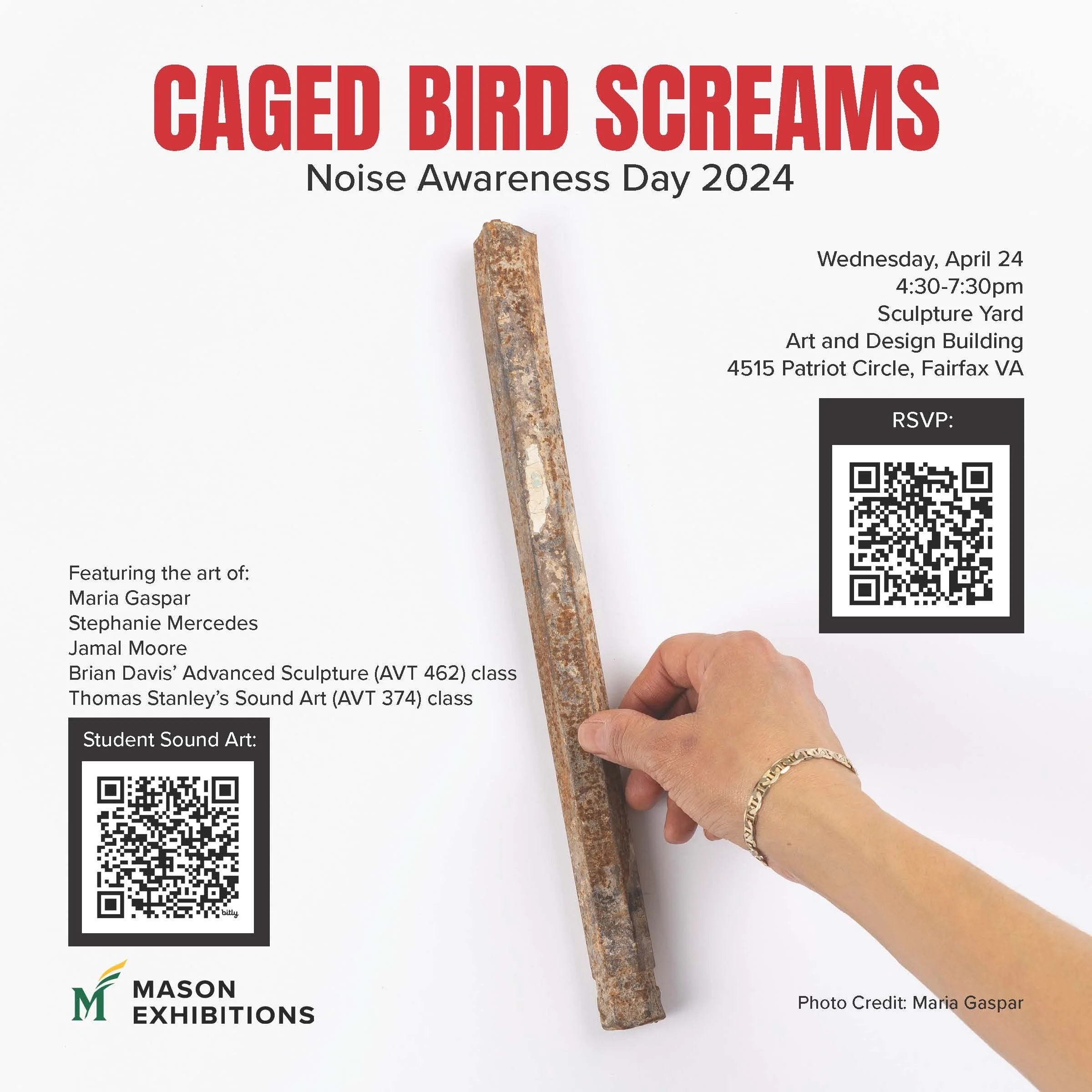 The Caged Bird Screams: Noise Awareness Day 2024
