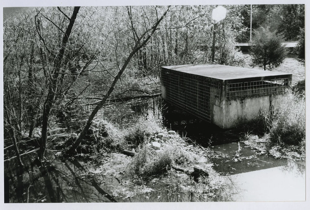 Spencer Taroe_38.83413N 77.32061W.jpeg