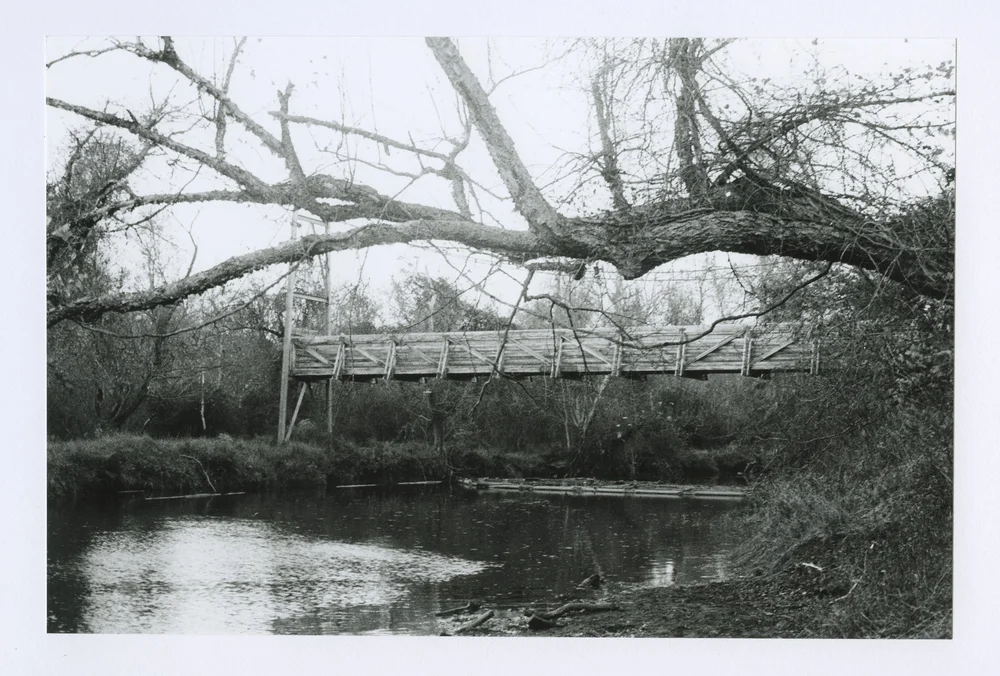Benjamin Tran_ Accotink Creek_ Accotink means end of the hill in Algonquian.jpeg