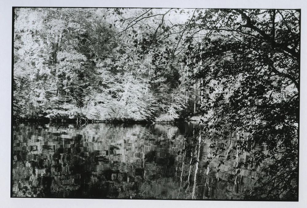 Bimbus Ponton_Occoquan River.jpeg