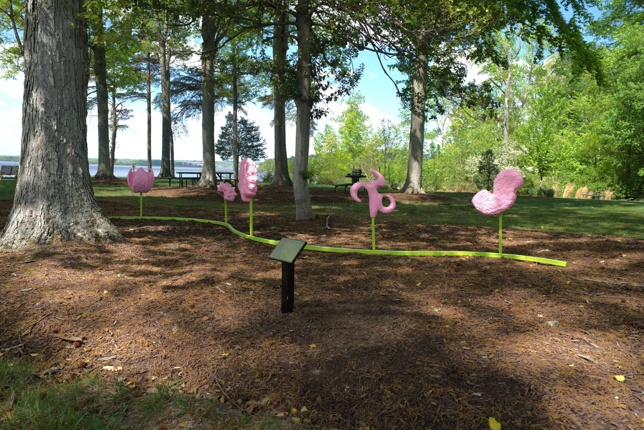 COLLECTIVE ASSEMBLAGE