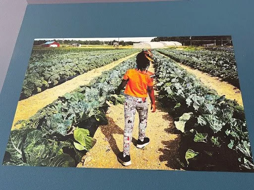 Photograph of a child with dark curly hair, wearing an orange shirt, patterned leggings, and black sneakers, walking down a sunlit, green kale field with rows of plants on either side. Background includes a red barn and blue sky.