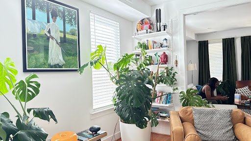 A sunlit living space layered with plants, books, and art, where domestic calm and cultural presence intertwine, framing a moment of quiet intimacy within a thoughtfully curated home.
